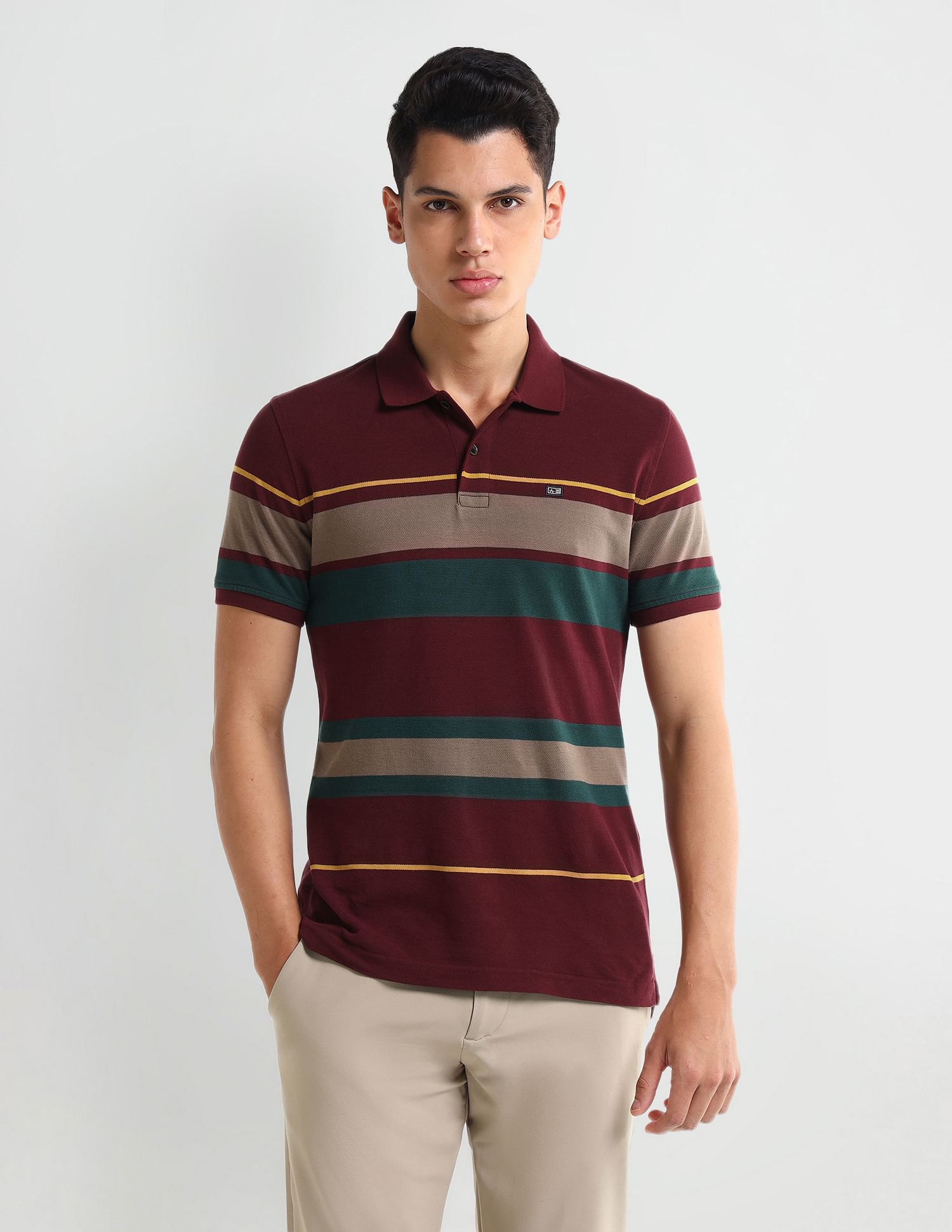 Arrow Sport Dynamax Horizontal Striped Regular Polo Shirt