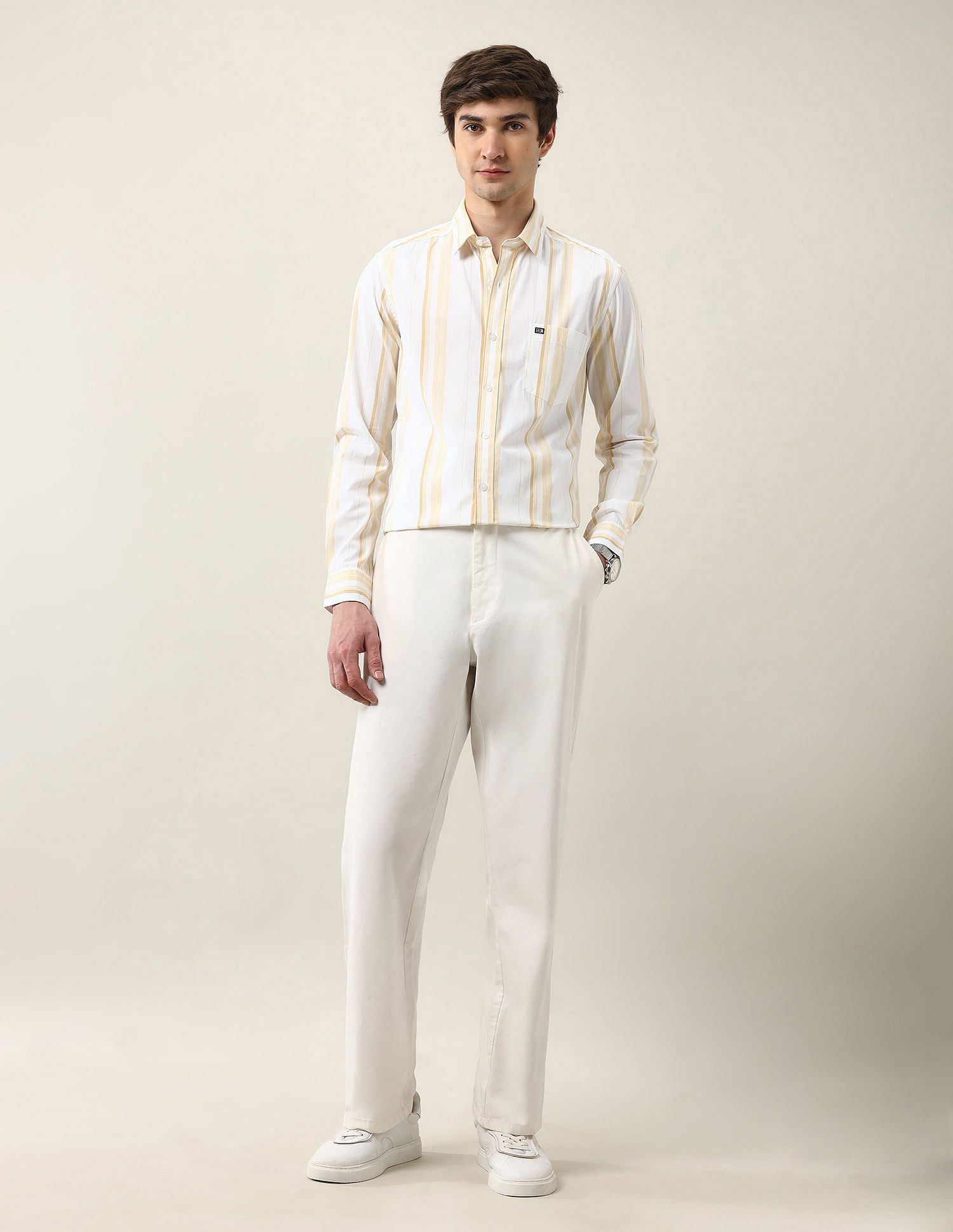 Arrow Sport Vertical Striped Slim Fit Air Soft Shirt