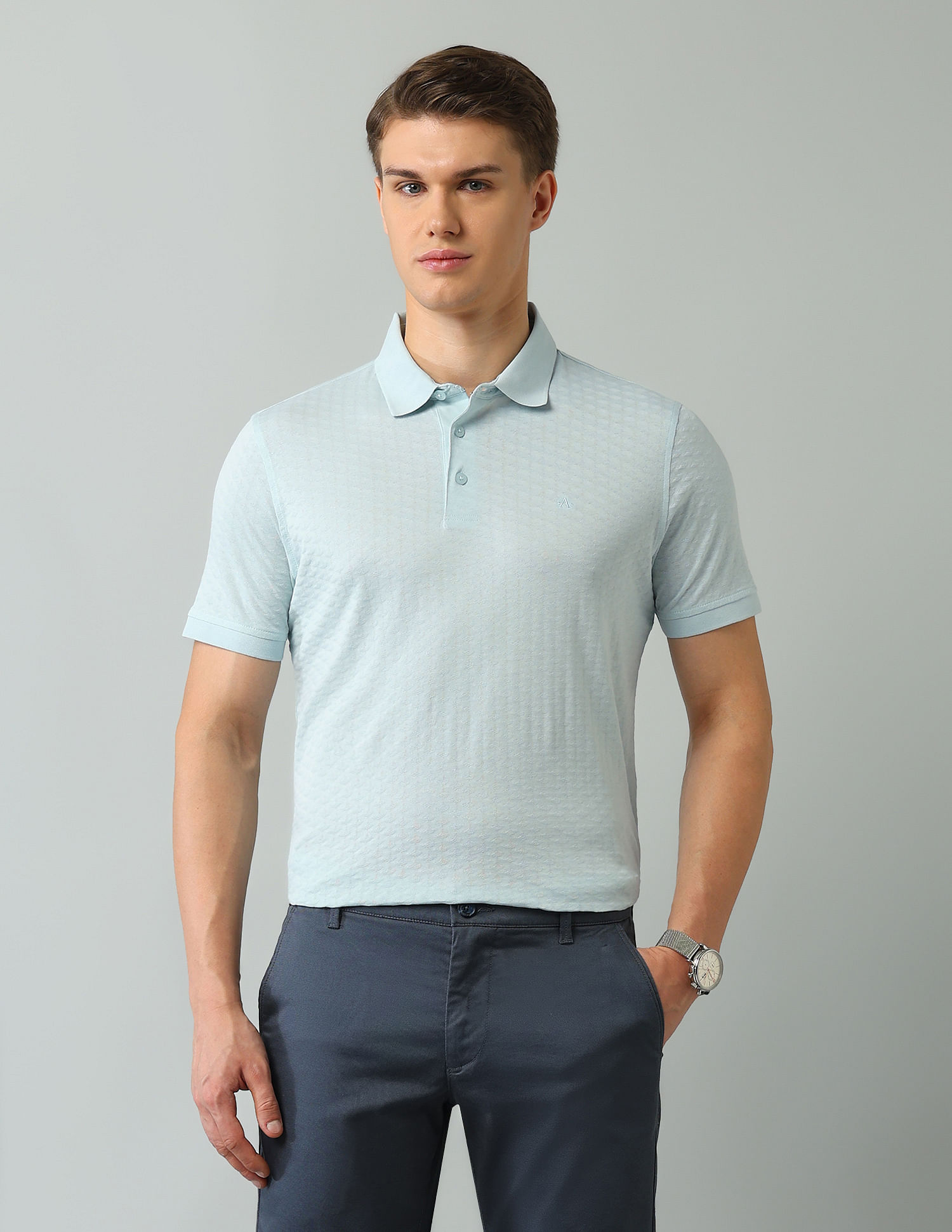 Arrow Regular Fit Textured Polo Shirt