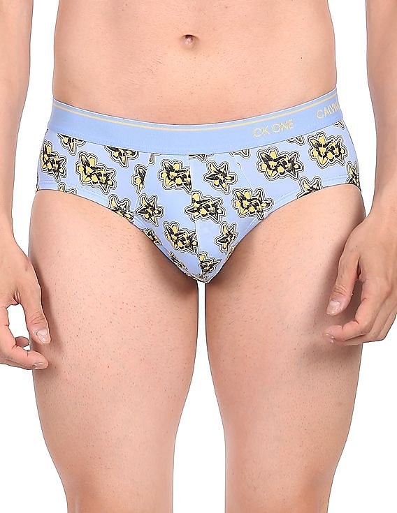  Women's An Otter Panties, An Otter Underwear, Briefs