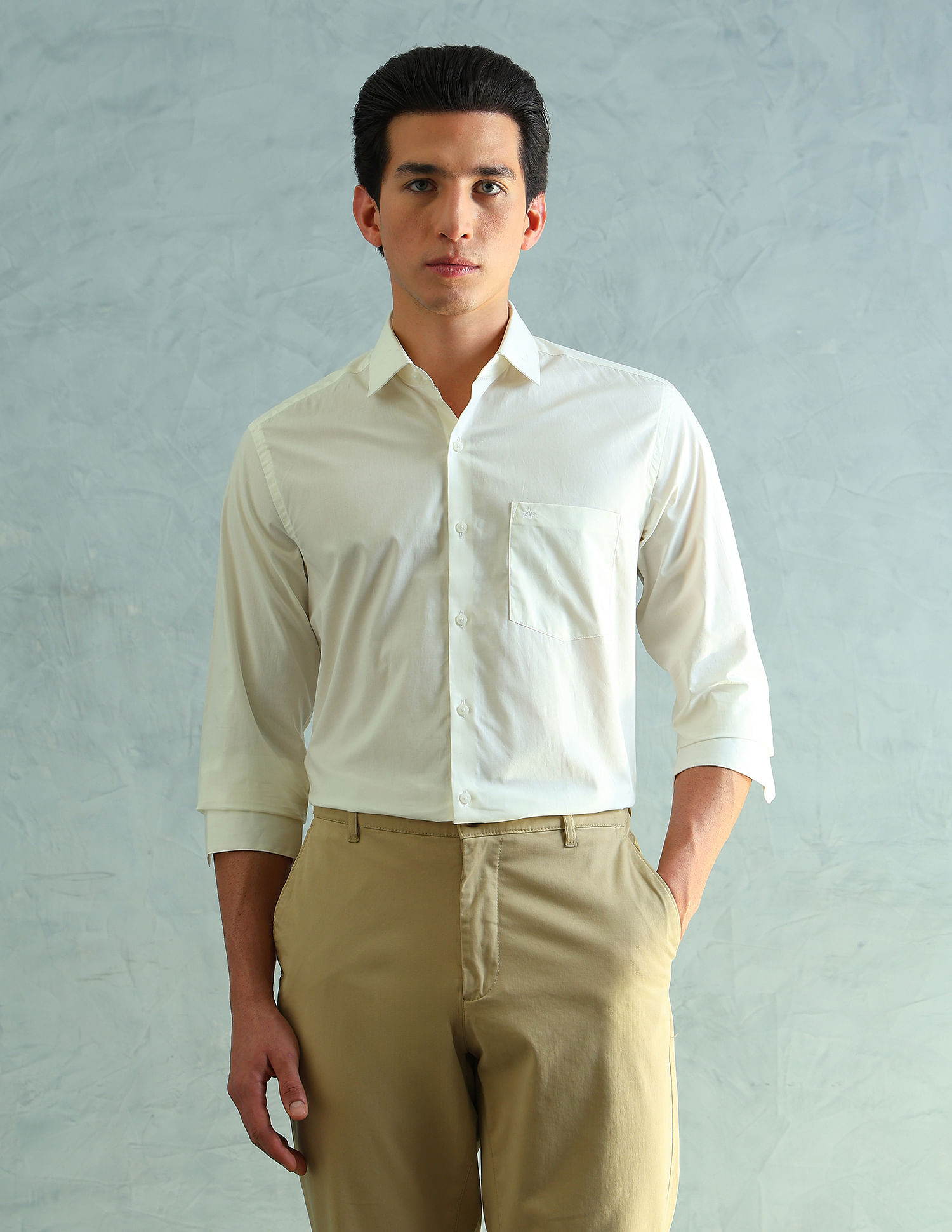 Arrow Slim Fit Smart Formal Shirt