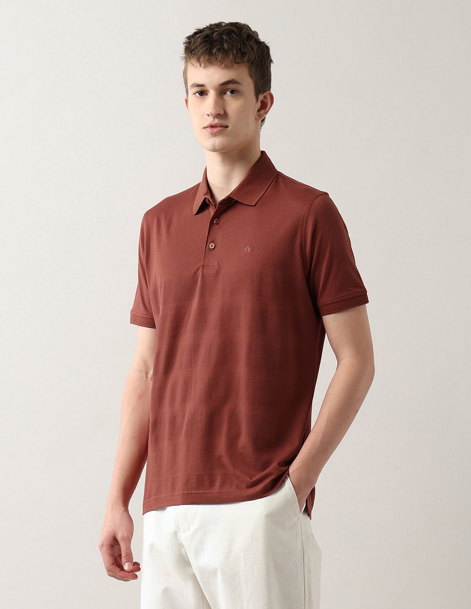 Arrow Textured Regular Fit Polo Shirt