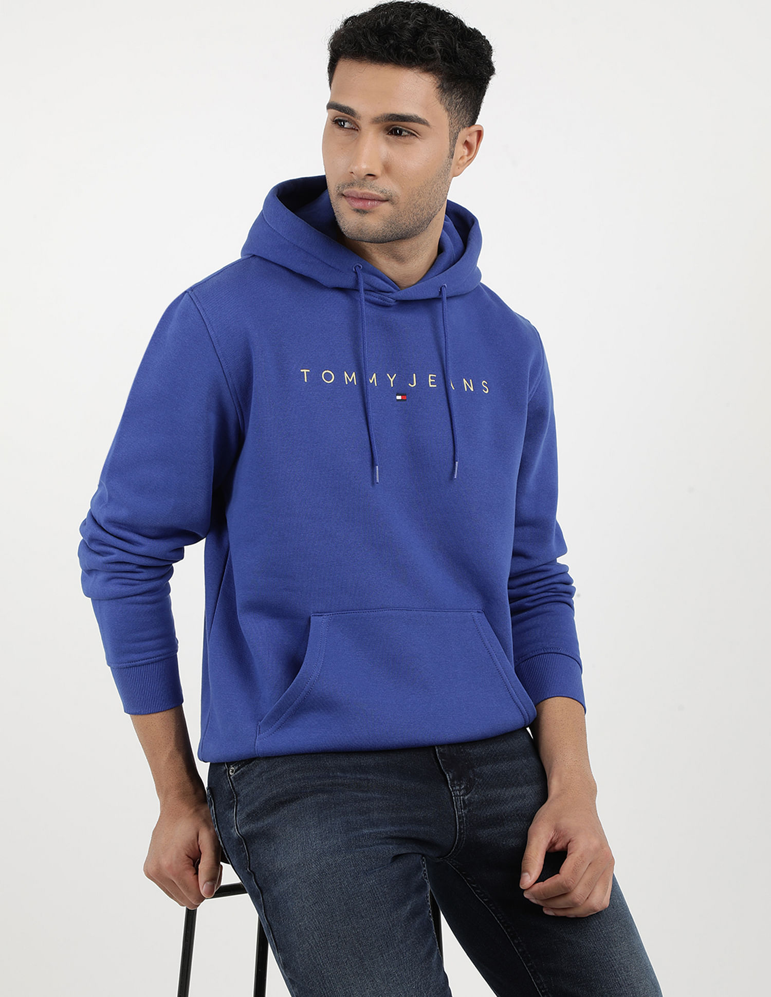 Tommy Hilfiger Regular Linear Gold Hood Sweatshirt