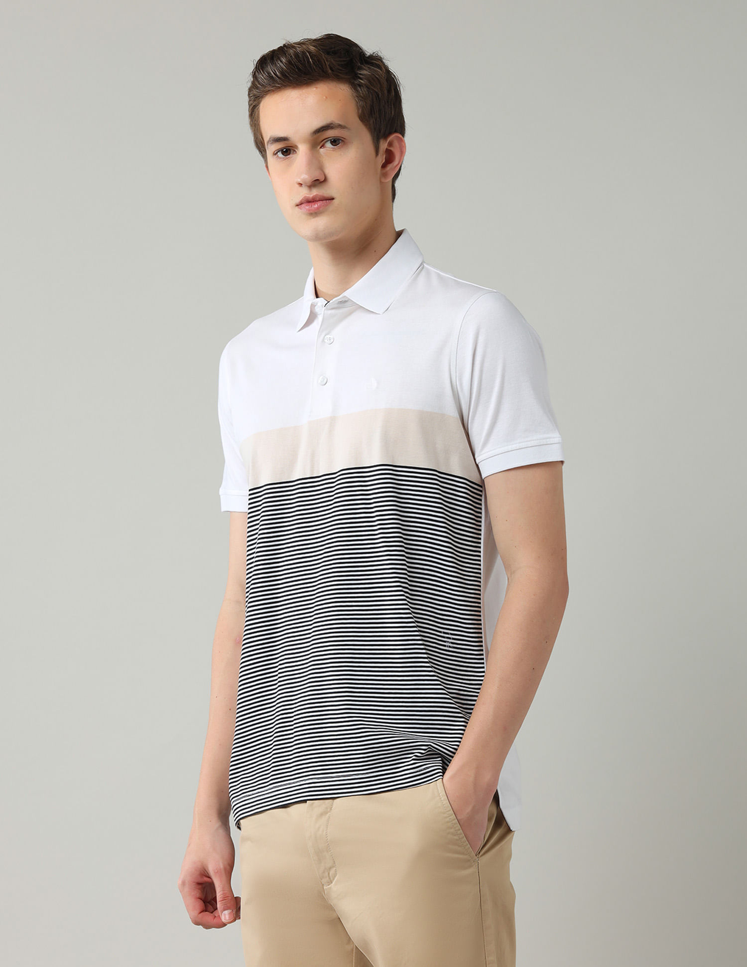 Arrow Horizontal Striped Regular Fit Polo Shirt