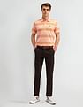 Arrow Sport Horizontal Striped Regular Fit Polo Shirt