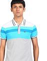 AD by Arvind Cotton Striped Polo Shirt