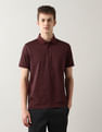 Arrow Pure Cotton Night Is Young Polo Shirt