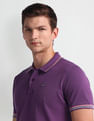 Arrow Sport Striped Collar Polo Shirt