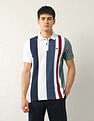 Arrow Sport Vertical Striped Regular Fit Polo Shirt