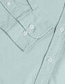 U.S. Polo Assn. Tailored Fit Solid Pure Cotton Shirt