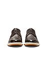 Cole Haan Men Dark Brown 4.Zerogrand Longwing Oxford Sneakers